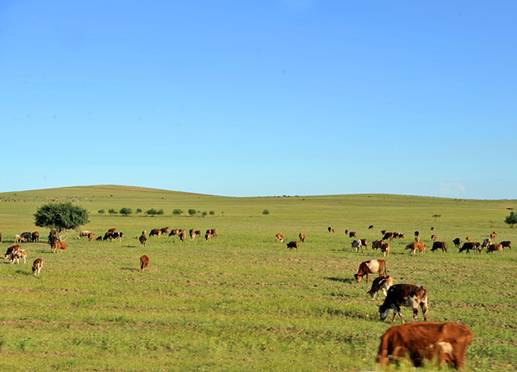 鈥湹吞夹卸 <wbr>骑行中国鈥 <wbr>2011 <wbr>北京鈥敽袈妆炊 <wbr>4+2草原之旅骑行活动 <wbr>之 <wbr>赤峰至乌兰浩特路段