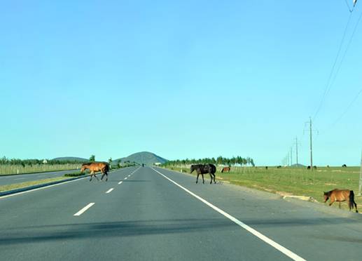 鈥湹吞夹卸 <wbr>骑行中国鈥 <wbr>2011 <wbr>北京鈥敽袈妆炊 <wbr>4+2草原之旅骑行活动 <wbr>之 <wbr>赤峰至乌兰浩特路段