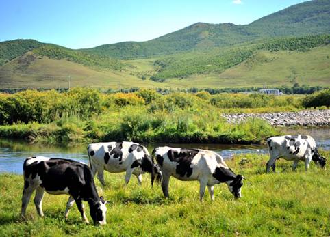 2011鈥4+2鈥澆菰闷镄谢疃 <wbr>之 <wbr>巴林--牙克石--海拉尔